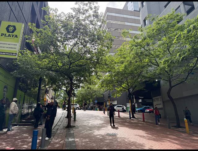 154M² BUILDING TO LET IN CAPE TOWN CITY CENTRE